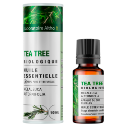 Tea Tree (arbre à thé) -...